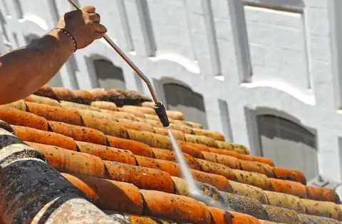 Nettoyage de toitures - Landébia